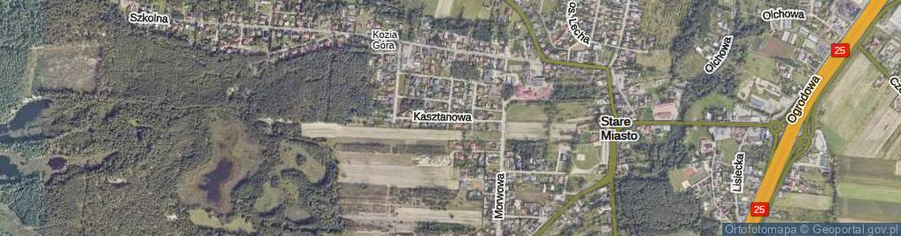 Zdjęcie satelitarne Kasztanowa ul.